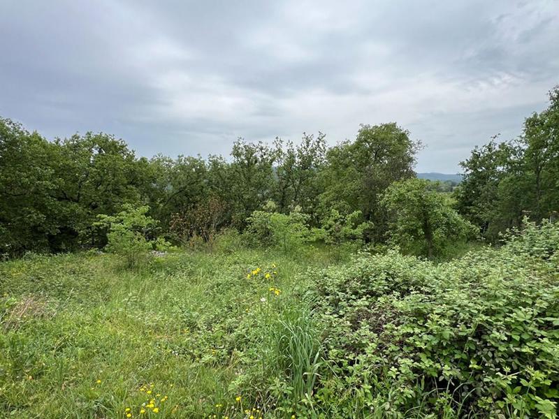 Terrain constructible - 1 594 m²