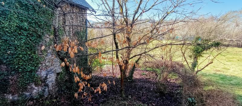 Maison - 62 m² - 3 pièces