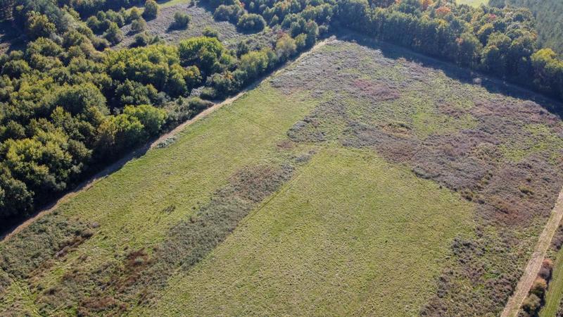 Forêt - 223 455 m²