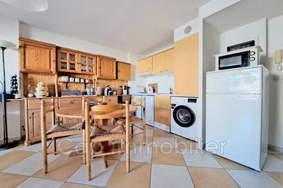 Appartement - 31 m² - 2 pièces