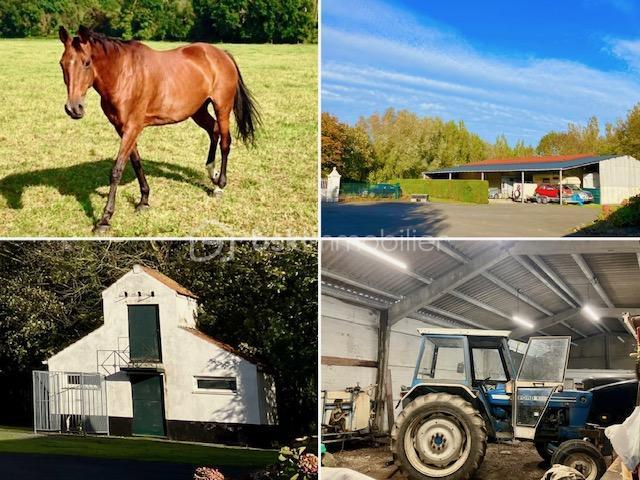 Demeure - 158 m² - 6 pièces