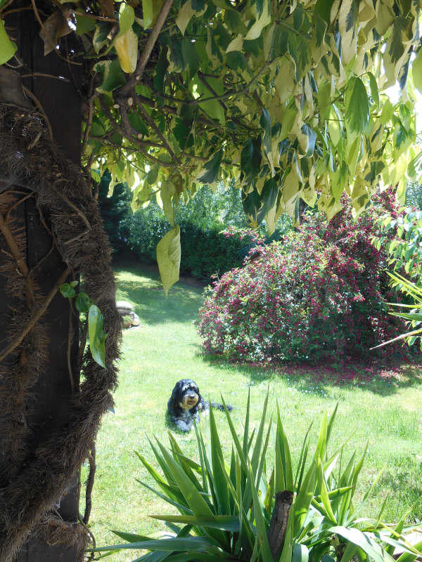 Maison - 80 m² - 5 pièces