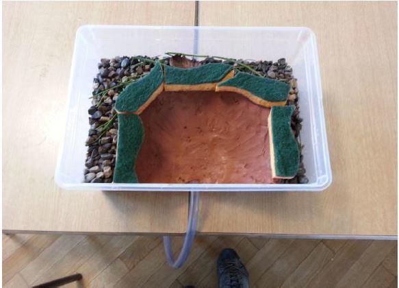 Atelier : les milieux humides