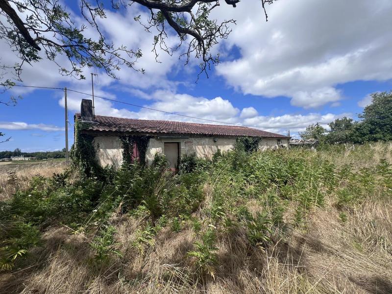 Maison - 200 m² - 4 pièces