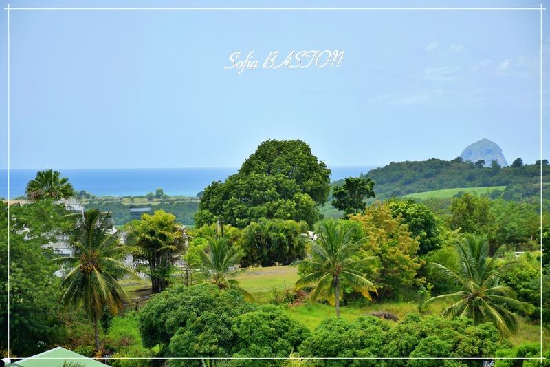 Maison - 241 m² - 10 pièces