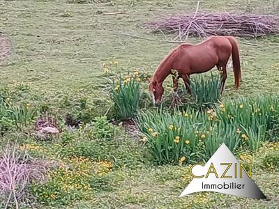 Maison - 157 m² - 7 pièces