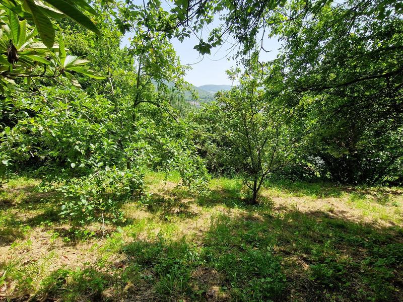 Maison - 82 m² - 5 pièces