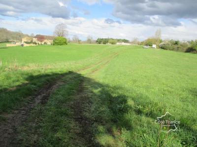 Terrain constructible - 3 000 m²