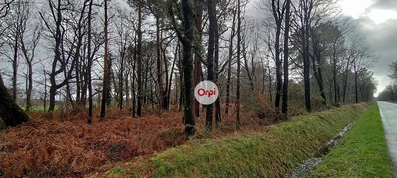 Terrain de loisirs - 49 615 m²