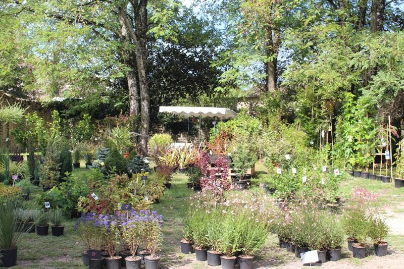 Troc-plantes à la citadelle de Blaye