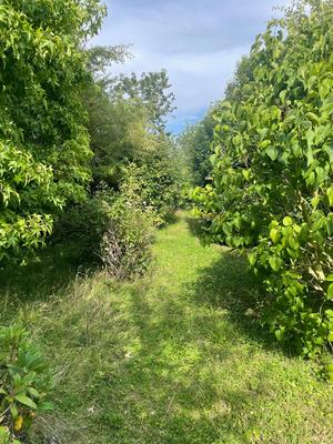 Viager - Maison - 150 m² - 5 pièces