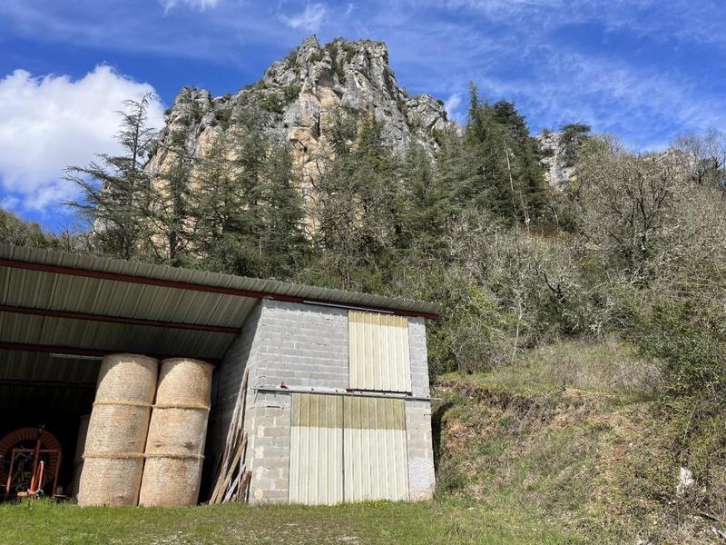 Local d'activité / Entrepôt - 372 m² - 1 pièce