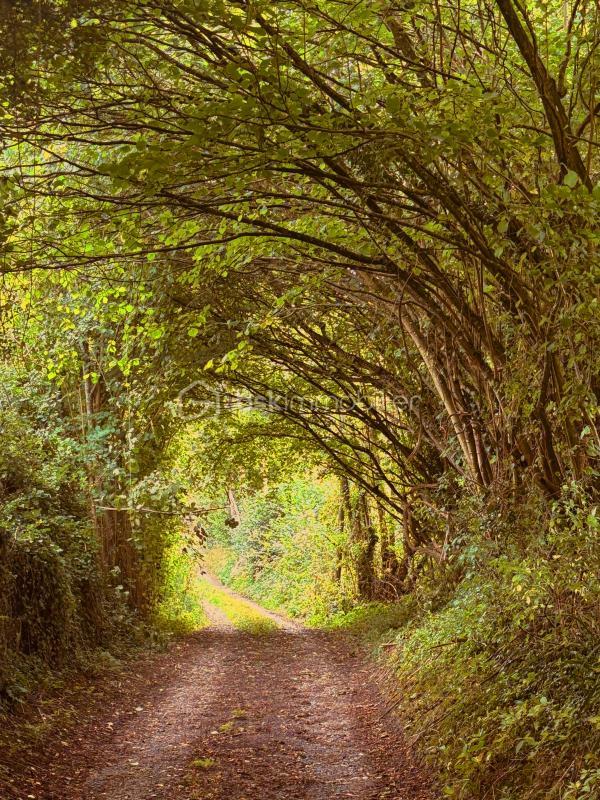 Maison traditionnelle - 70 m² - 4 pièces