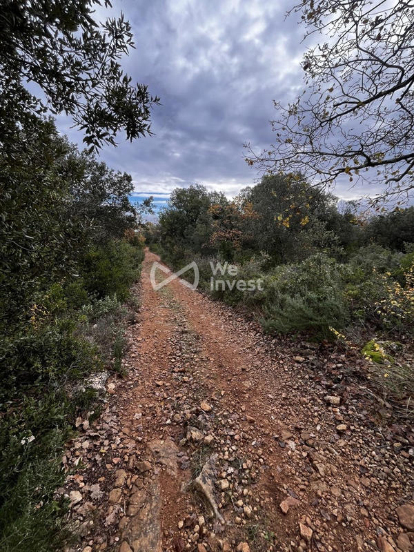 Terrain - 33 565 m²