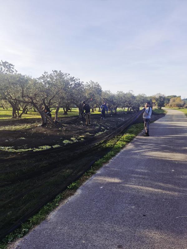 Les Lambesc'apades : Visite du Mas du Grand Croignes