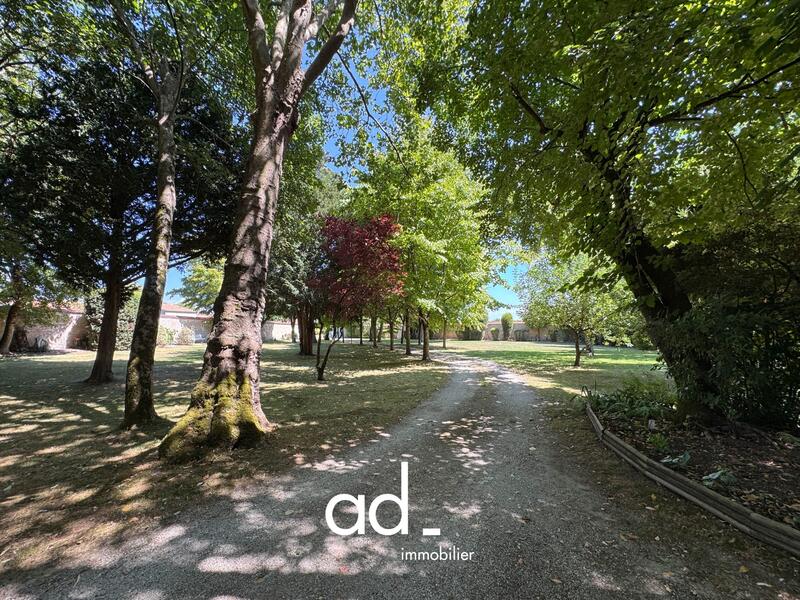 Maison ancienne - 185 m² - 6 pièces