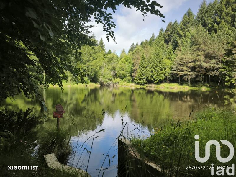 Terrain - 30 452 m²