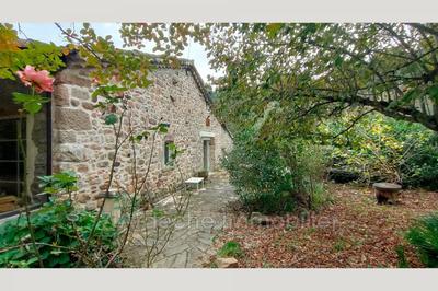 Maison en pierre - 145 m² - 5 pièces