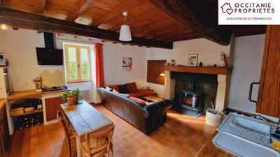 Propriété - 223 m² - 10 pièces