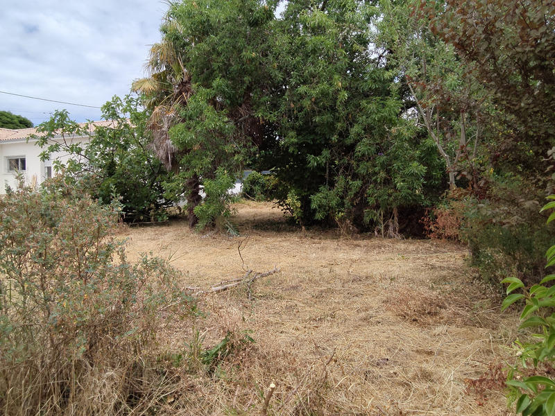 Terrain constructible - 445 m²