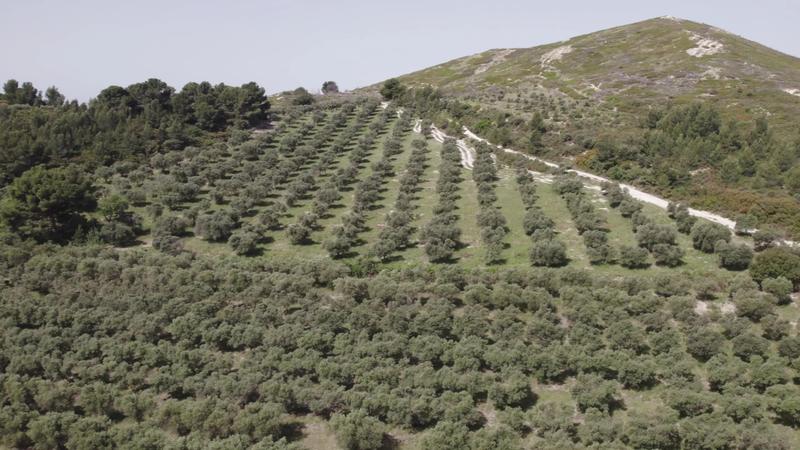 Propriété - 700 m²