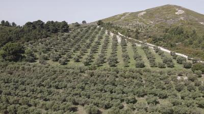 Propriété - 700 m²