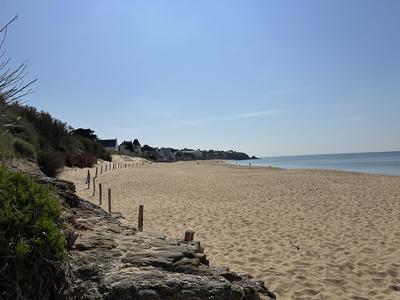 Appartement - 50 m² - 3 pièces