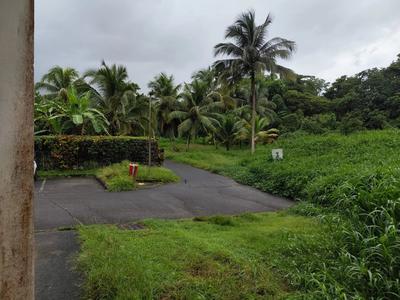 Magasins - 45 m² - 1 pièce