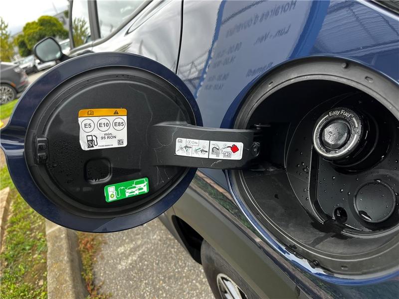 Ford Puma II 1.0 Flexifuel 125 Ch Mhev s&amp;S Bvm6 Titanium