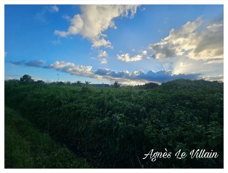 Terrain constructible - 1 006 m²