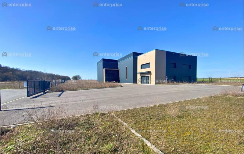 Local d'activité / Entrepôt - 715 m²