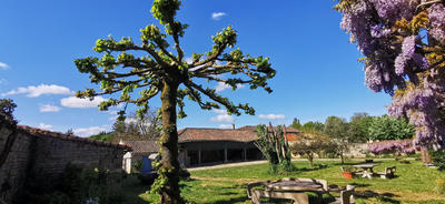 Maison - 562 m² - 19 pièces