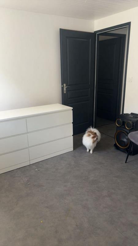 Appartement - 76 m² - 4 pièces