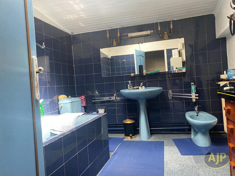 Maison - 220 m² - 8 pièces