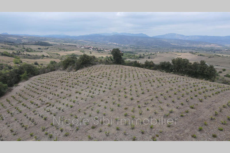 Terrain - 17 200 m²