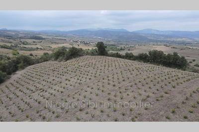 Terrain - 17 200 m²