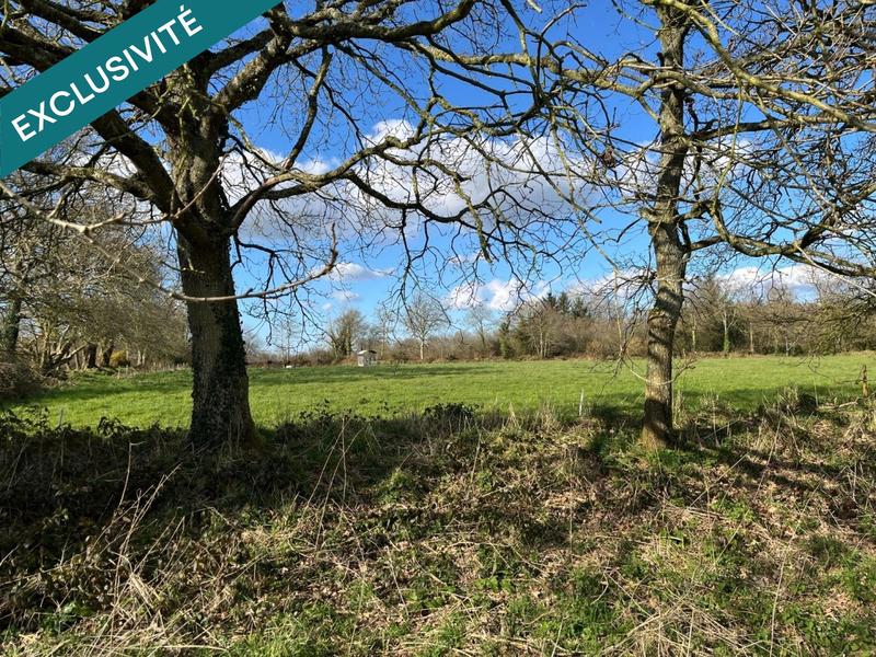 Maison - 90 m² - 3 pièces