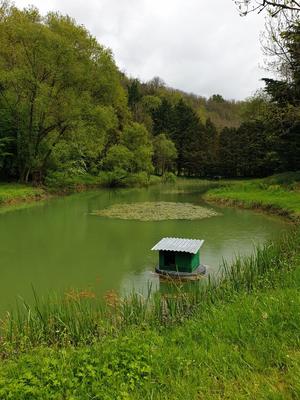 Terrain de loisirs - 3 200 m²