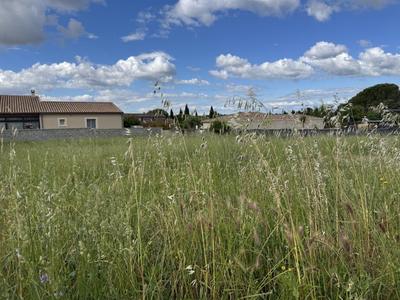 Terrain constructible - 555 m²
