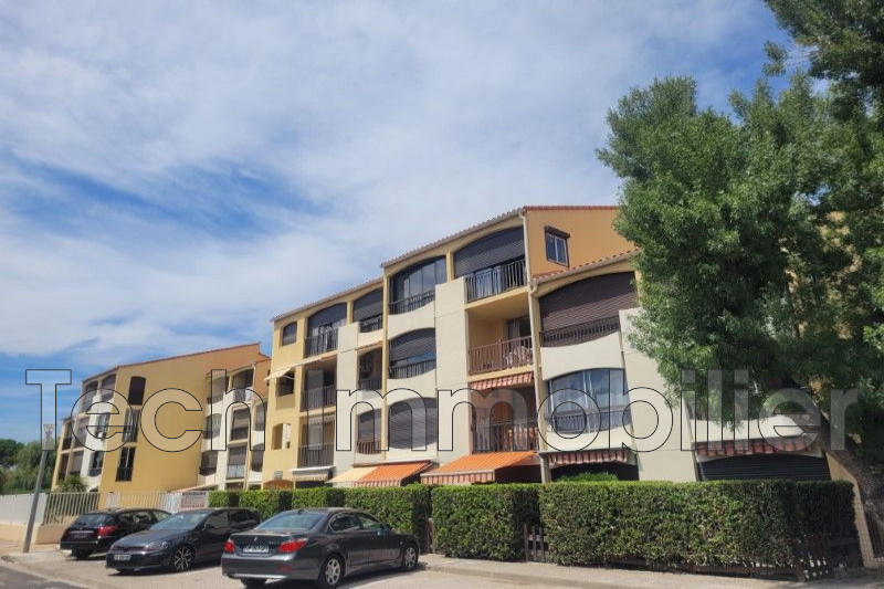 Studio - 24 m² - 1 pièce