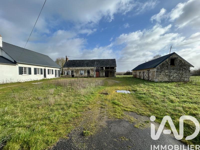 Maison - 105 m² - 5 pièces