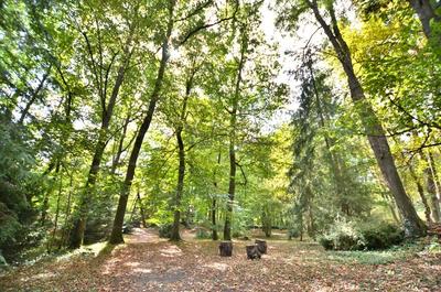 Propriété - 545 m² - 21 pièces