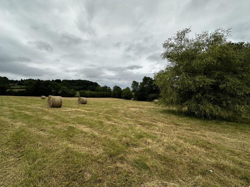 Terrain - 57 753 m²