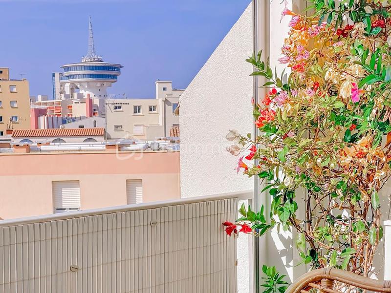 Appartement - 50 m² - 3 pièces