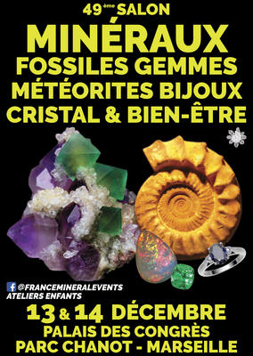 49ème Salon des Minéraux de Marseille : Minéraux, Fossiles, Gemmes, Bijoux, Cristal &amp; Bien-être