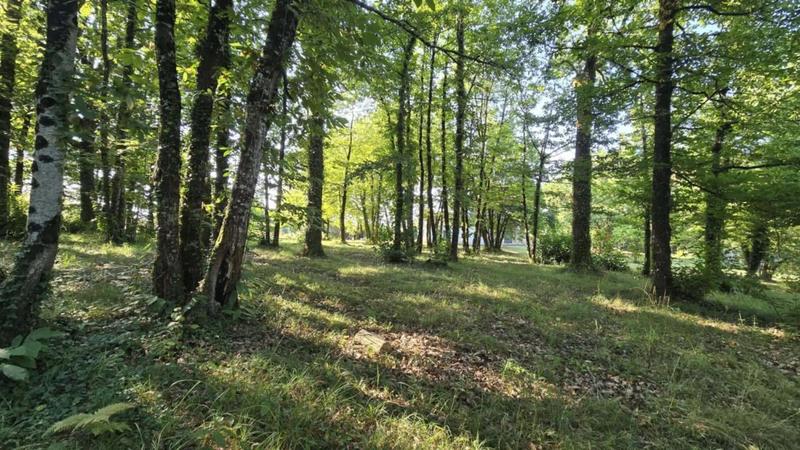 Propriété - 240 m² - 9 pièces