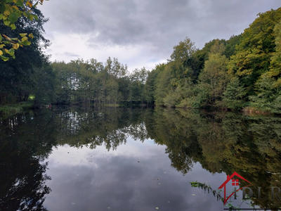 Terrain - 46 300 m²