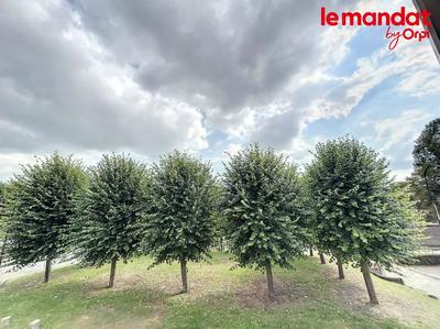 Appartement - 17 m² - 1 pièce