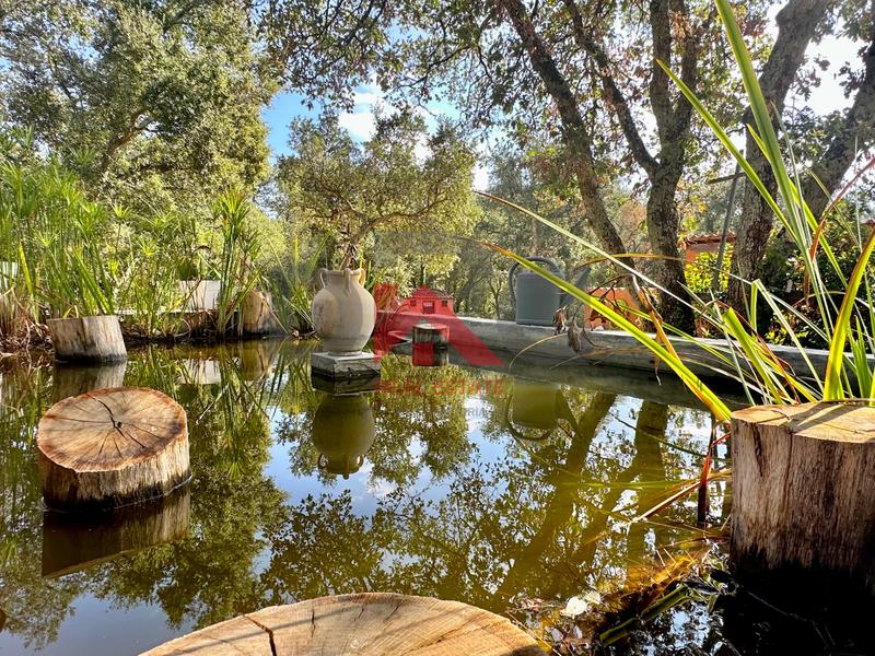 Maison - 226 m² - 7 pièces