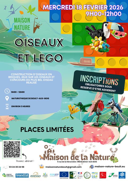Oiseaux et légos